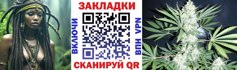 МЕФ Змеиногорск